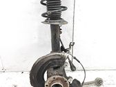 Front shock absorber with coil spring