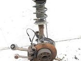 Front shock absorber with coil spring