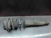 Front shock absorber with coil spring