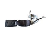 Rear seatbelt buckle