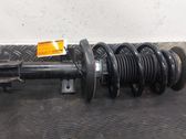 Front shock absorber with coil spring
