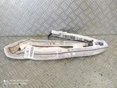 Roof airbag