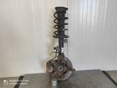 Front wheel hub spindle knuckle