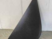 Fender trim (molding)