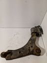 Front lower control arm/wishbone