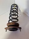 Rear coil spring