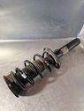 Front shock absorber with coil spring