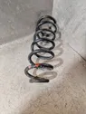 Rear coil spring