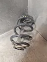 Rear coil spring