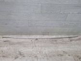 Front door trim (molding)