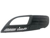 Front fog light trim/grill