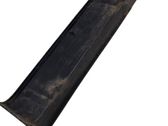 Rear/tail light trim molding