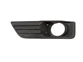 Front fog light trim/grill