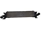 Intercooler radiator