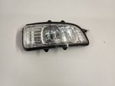 Mirror indicator light