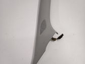 Windshield trim