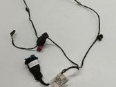 Rear door wiring loom