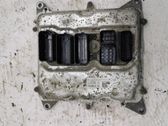 Engine control unit/module ECU