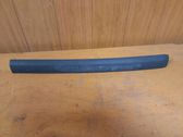 Rear door trim (molding)