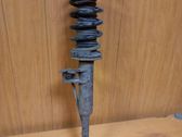 Front shock absorber/damper