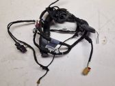 Rear door wiring loom