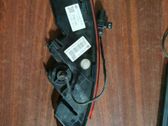 Rear bumper light