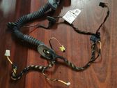 Front door wiring loom