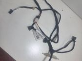 Rear door wiring loom
