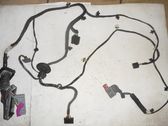 Cableado de puerta delantera