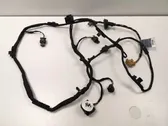 Other wiring loom