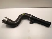 Coolant pipe/hose
