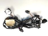 Other wiring loom