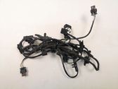 Other wiring loom