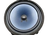 Rear door speaker