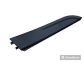 Other front door trim element