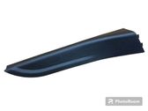 Other front door trim element