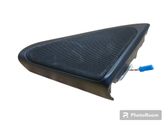 Front door high frequency speaker