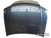 Engine bonnet/hood