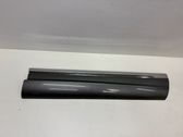 Front door trim (molding)