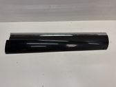 Front door trim (molding)