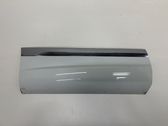 Rear door trim (molding)