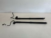 Tailgate/trunk strut/damper