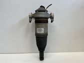 Rear shock absorber/damper