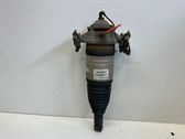 Rear shock absorber/damper