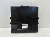 Engine control unit/module ECU