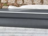 Front door trim (molding)