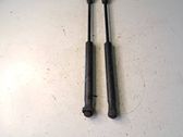 Tailgate/trunk strut/damper