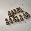 Nuts/bolts