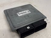 Unidad de control/módulo del motor
