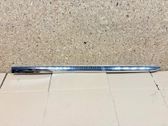 Rear door trim (molding)